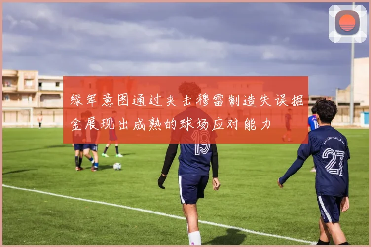 绿军意图通过夹击穆雷制造失误掘金展现出成熟的球场应对能力