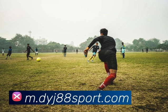 大赢家发展历程